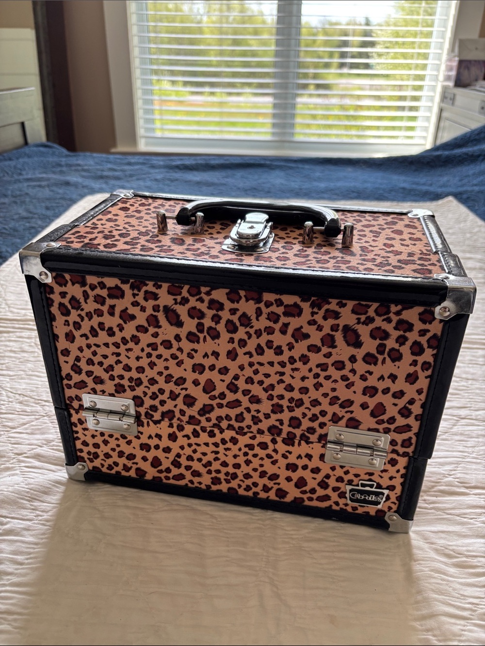 Caboodles Cosmetic Case